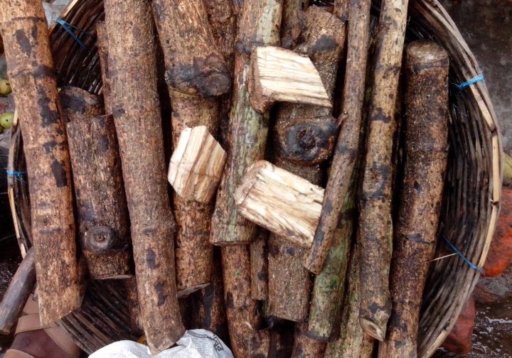 চুই ঝাল (সাতক্ষীরায় চাষকৃত)