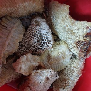 চাক সহ মধু (Honeycomb)