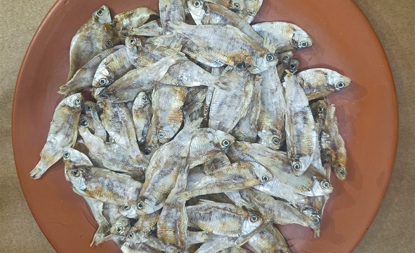 গাপ্পোনা শুঁটকি